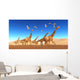 Flock Thalassodromeus Reptiles Fly Wall Decal