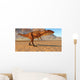 Carcharodontosaurus Dinosaur Sahara Region Wall Decal