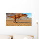 Carcharodontosaurus Dinosaur Sahara Region Wall Decal