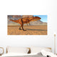 Carcharodontosaurus Dinosaur Sahara Region Wall Decal