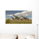 Flock Caudipteryx Dinosaurs Wall Decal