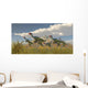 Flock Caudipteryx Dinosaurs Wall Decal