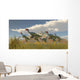 Flock Caudipteryx Dinosaurs Wall Decal
