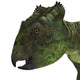Archaeoceratops Dinosaur Head Wall Decal