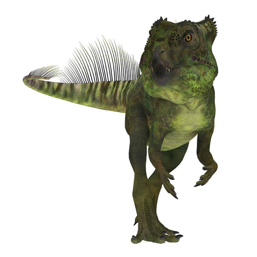 Archaeoceratops Dinosaur White Wall Decal