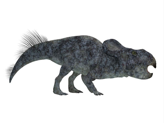 Protoceratops Dinosaur White Wall Decal