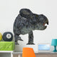Protoceratops Dinosaur Wall Decal