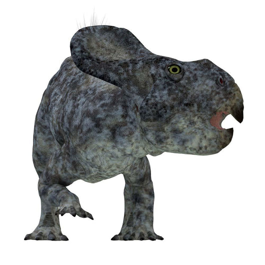 Protoceratops Dinosaur Wall Decal