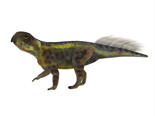 Psittacosaurus Dinosaur White Wall Decal