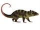 Side Profile Purgatorius Wall Decal