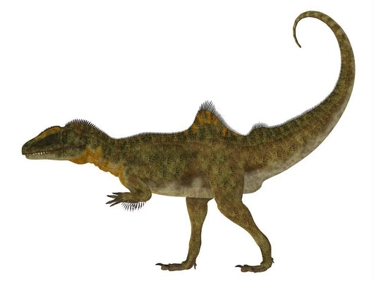Side Profile Concavenator Dinosaur Wall Decal