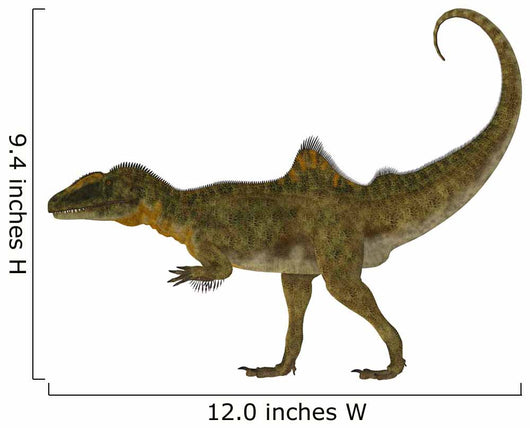 Side Profile Concavenator Dinosaur Wall Decal