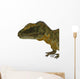 Concavenator Dinosaur Head Wall Decal