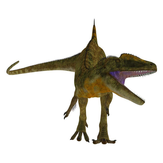 Concavenator Dinosaur Roaring Wall Decal