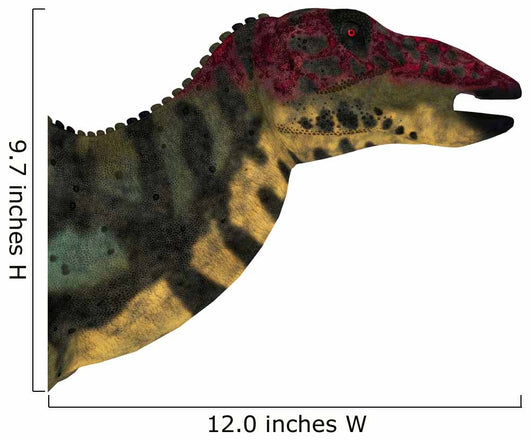 Shuangmiaosaurus Dinosaur Head Wall Decal