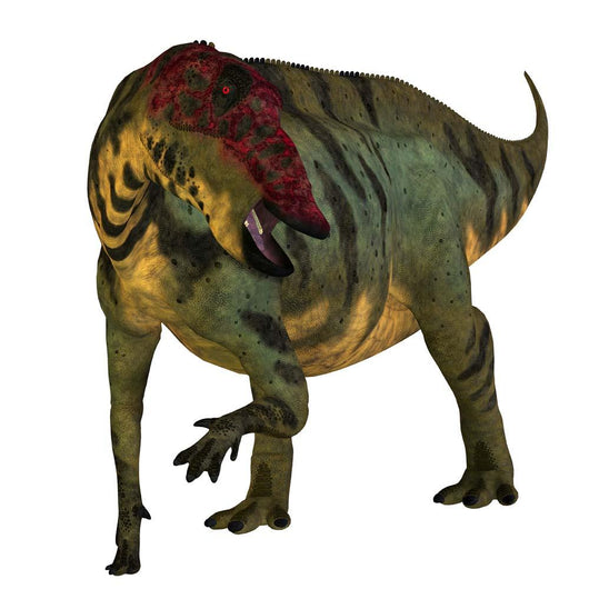 Front Shuangmiaosaurus Dinosaur Wall Decal