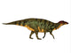 Side Profile Shuangmiaosaurus Dinosaur Wall Decal