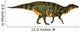 Side Profile Shuangmiaosaurus Dinosaur Wall Decal