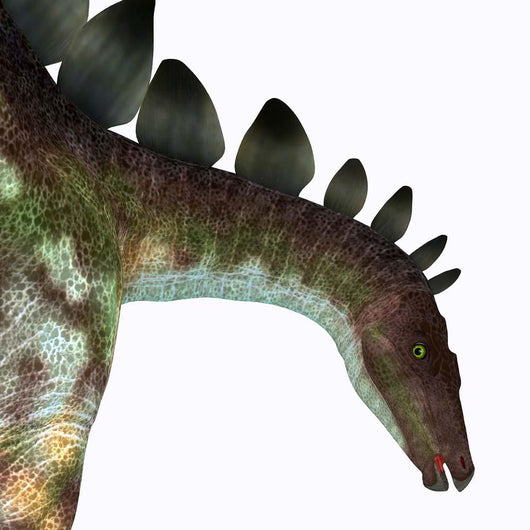 Stegosaurus Dinosaur Head Wall Decal