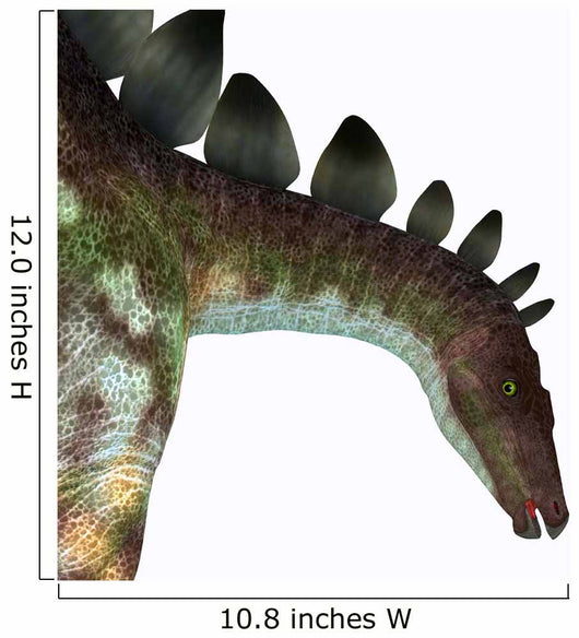 Stegosaurus Dinosaur Head Wall Decal
