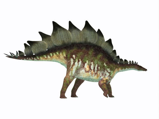 Side Profile Stegosaurus Dinosaur Wall Decal