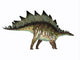 Side Profile Stegosaurus Dinosaur Wall Decal