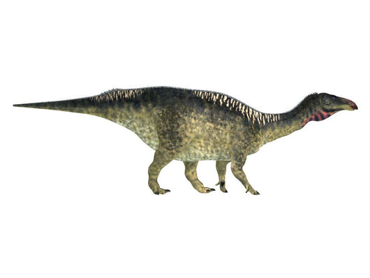 Lurdusaurus Dinosaur Side Profile Wall Decal
