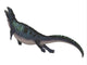 Placodus Aquatic Reptile Side Wall Decal