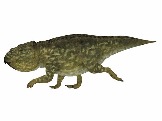Udanoceratops Dinosaur Side Profile Wall Decal
