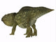 Udanoceratops Dinosaur Wall Decal