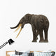 Stegotetrabelodon Primitive Elephant Rear Wall Decal
