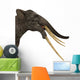 Headshot Stegotetrabelodon Primitive Elephant Wall Decal