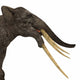 Headshot Stegotetrabelodon Primitive Elephant Wall Decal