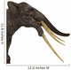 Headshot Stegotetrabelodon Primitive Elephant Wall Decal
