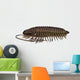 Ptychoparia Trilobite Animal Wall Decal