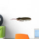 Triarthrus Trilobite Side Profile Wall Decal
