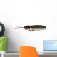 Triarthrus Trilobite Side Profile Wall Decal