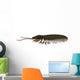 Triarthrus Trilobite Side Profile Wall Decal