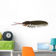 Triarthrus Trilobite Side Profile Wall Decal