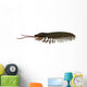 Triarthrus Trilobite Side Profile Wall Decal
