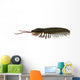 Triarthrus Trilobite Side Profile Wall Decal