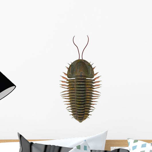 Triarthrus Trilobite Wall Decal