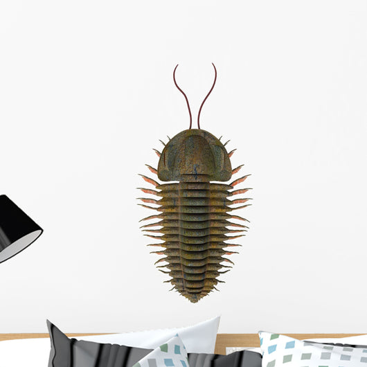 Triarthrus Trilobite Wall Decal