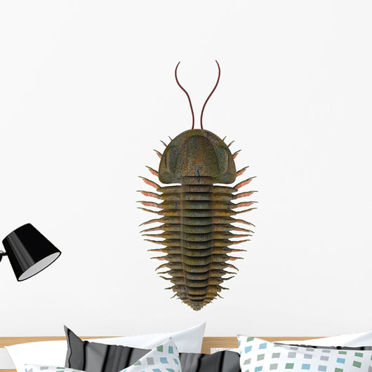 Triarthrus Trilobite Wall Decal