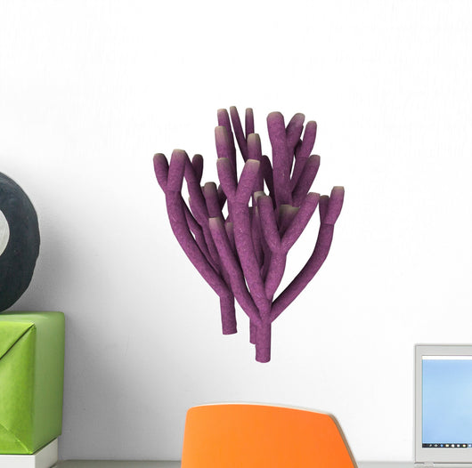 Vauxia Gracilenta Sponge Illustration Wall Decal