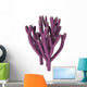 Vauxia Gracilenta Sponge Illustration Wall Decal