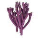 Vauxia Gracilenta Sponge Illustration Wall Decal
