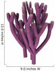 Vauxia Gracilenta Sponge Illustration Wall Decal