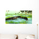 Uberabasuchus Reptiles Catch Fish Wall Decal