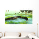 Uberabasuchus Reptiles Catch Fish Wall Decal
